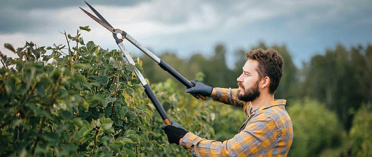 Servicios-de-Jardineria